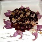 flor 1