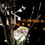 032_resize