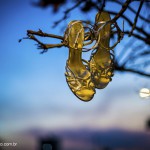 032_resize