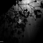 486_resize